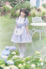 画像6: 【ToAlice】L1409紫陽花兎総柄ワンピース (6)